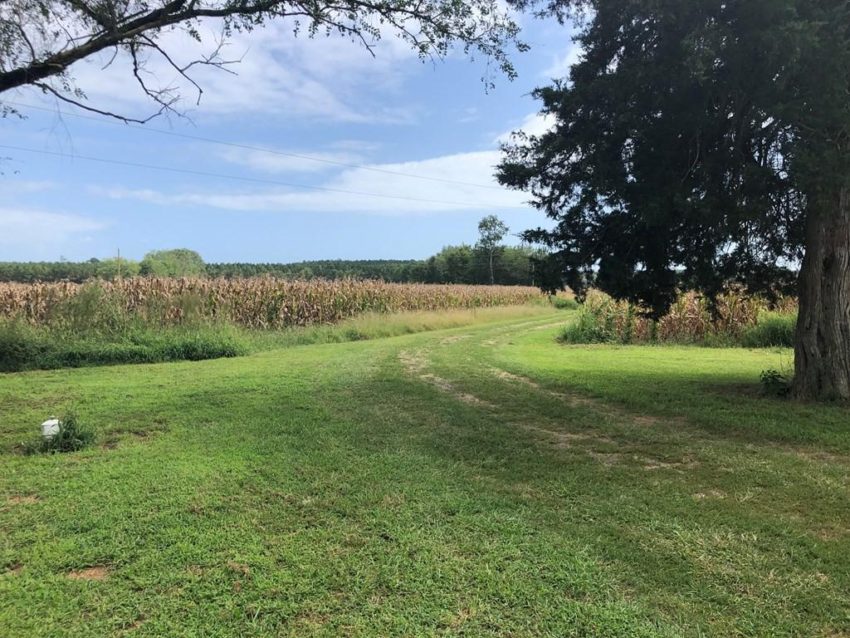 c.1915 Eastern Shore Virginia Farmhouse For Sale on 64 Acres Sold