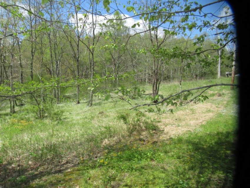 c.1889 Cabin for Sale Borders National Forest on 5 Acres With Spring ...