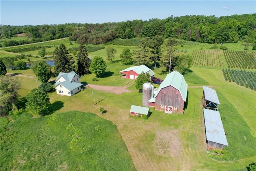C 1920 Christmas Tree Farm For Sale W Barn Silo Sheds And River On 47 Acres Almena Wi 799 000 Off Market Country Life Dreams