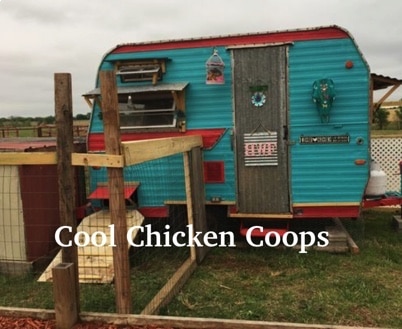chicken coops