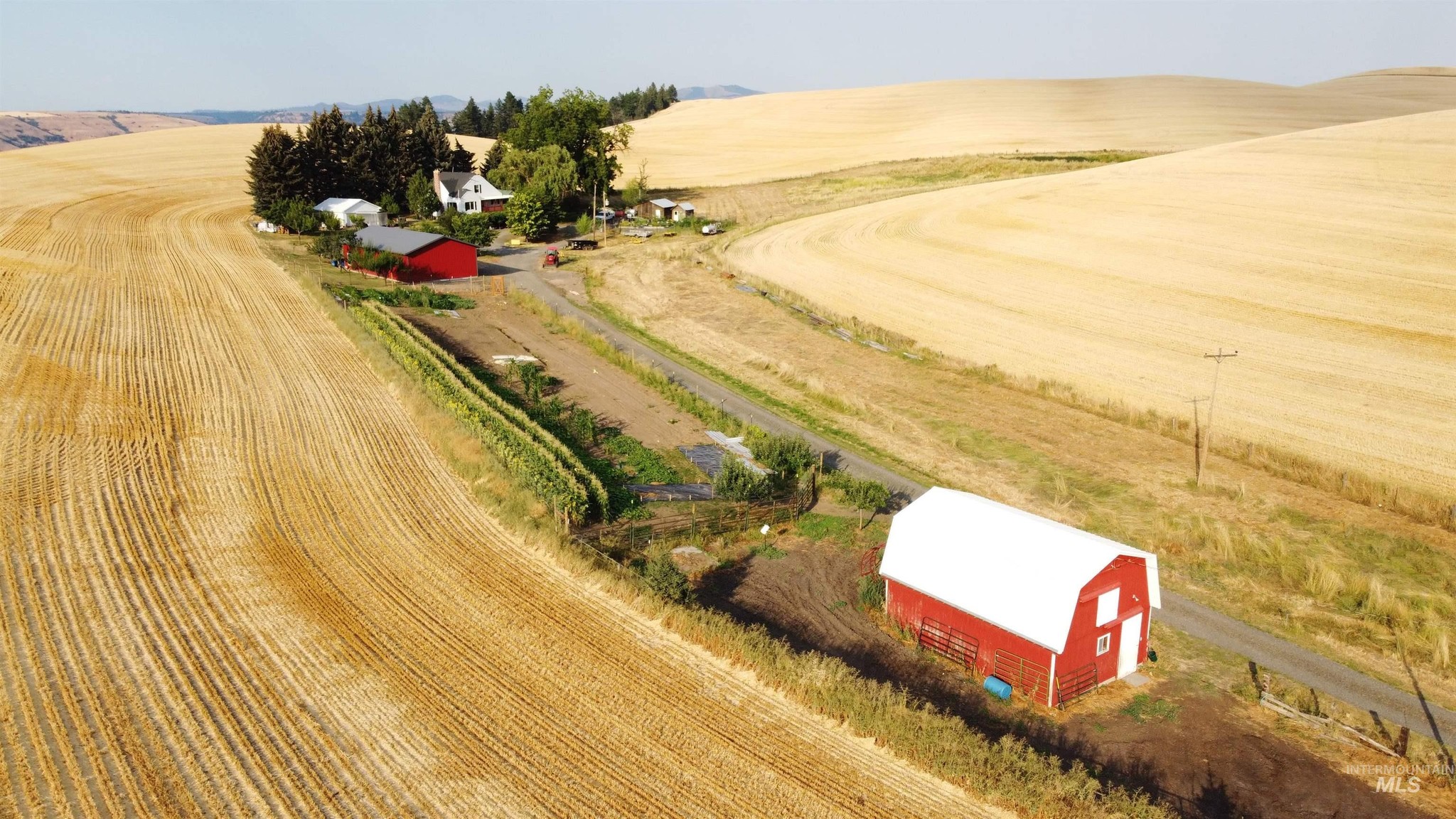 Circa 1937 Mini Farm For Sale W Barns Pond And Outbuildings On 8 4 circa-1937-mini-farm-for-sale-w-barns-pond-and-outbuildings-on-8-4
