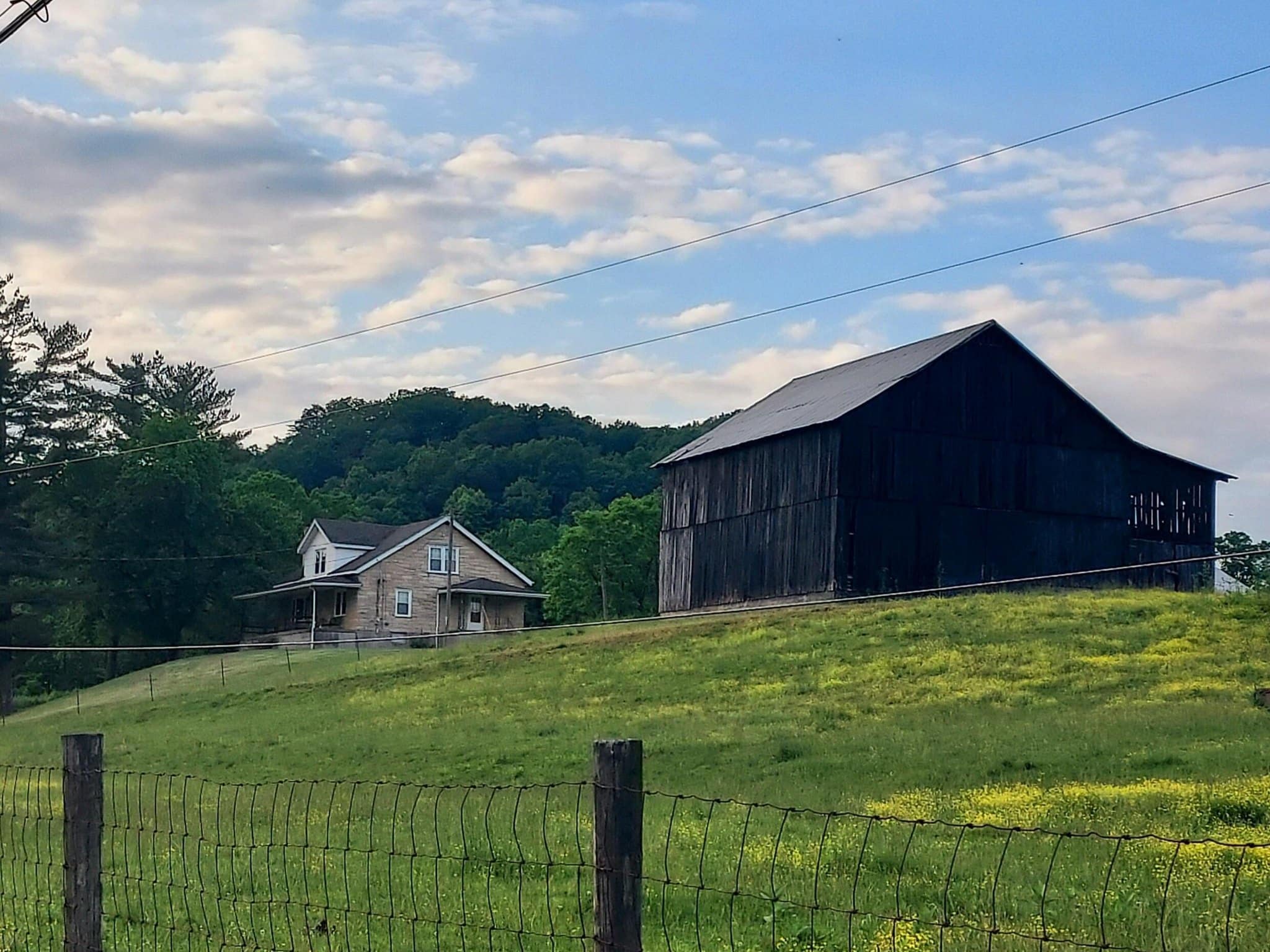 1960 Kentucky Farm For Sale W Outbuildings On 37 Lovely Acres 349 000   360ky 