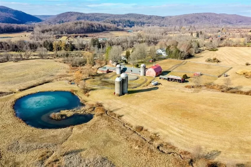 New York tau moon farm