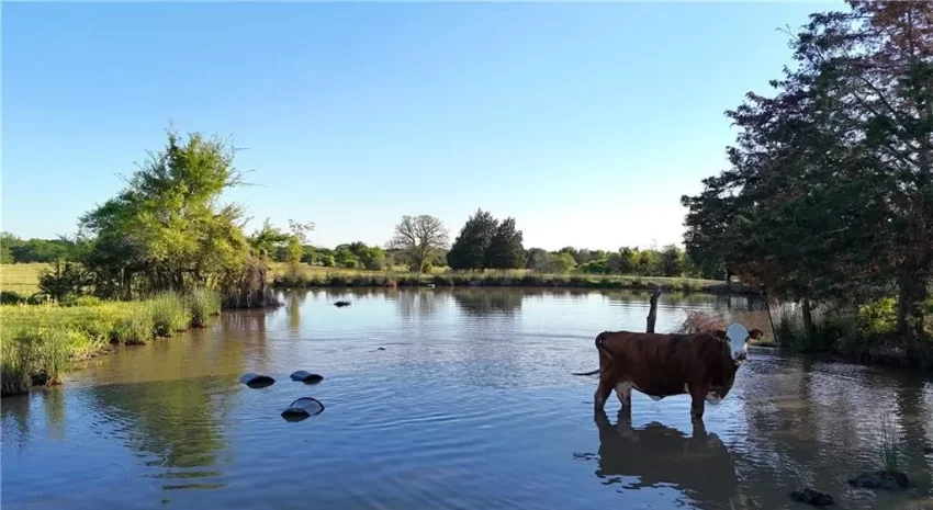 texas ranch for sale