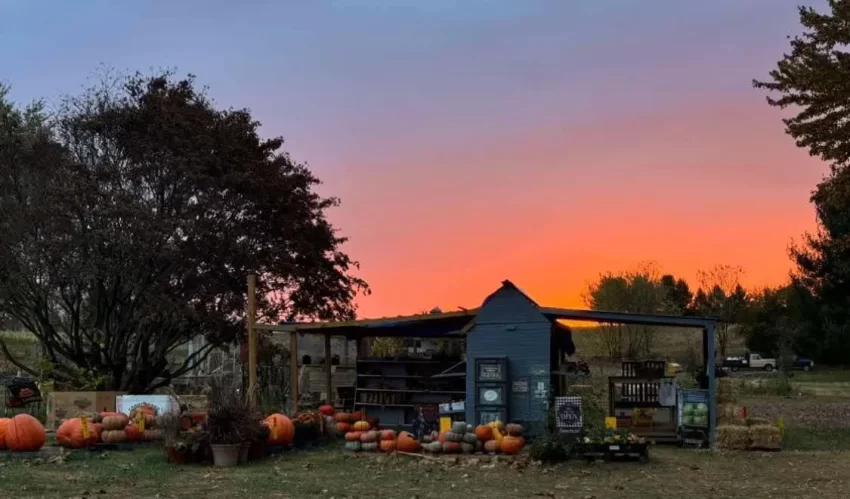 Pennsylvania farmhouse for sale