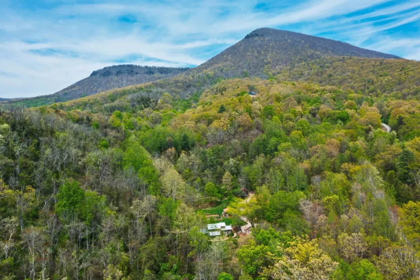 virginia log home