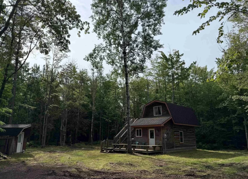 michigan cabin