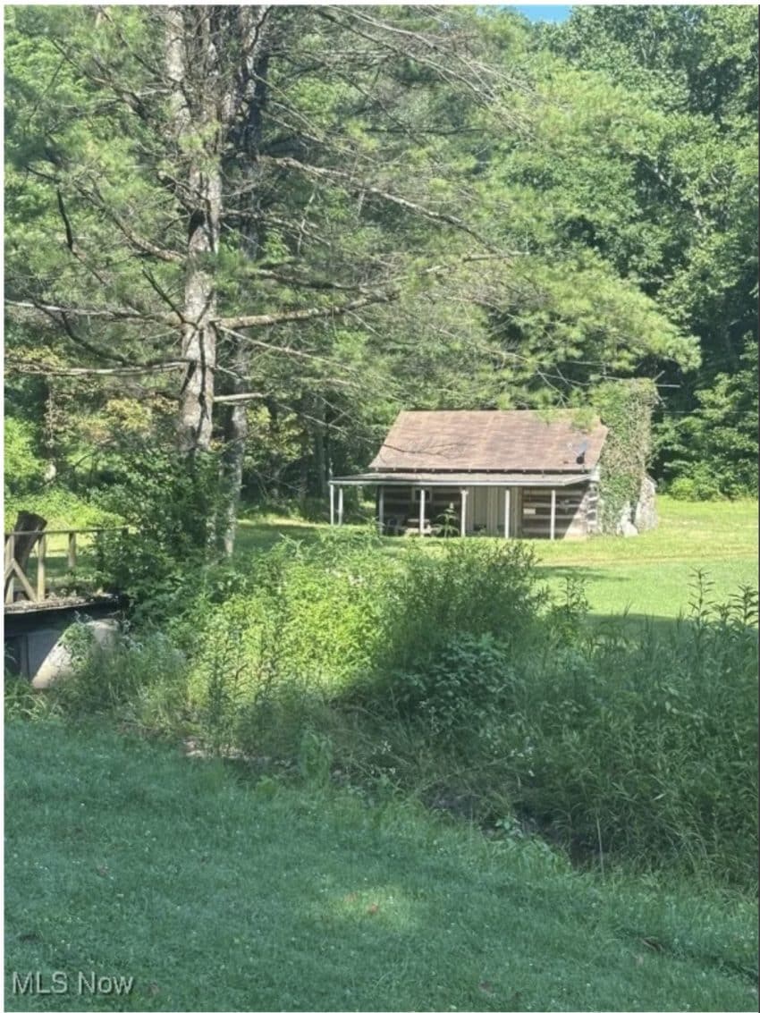 Ohio Fixer Upper Log Cabin