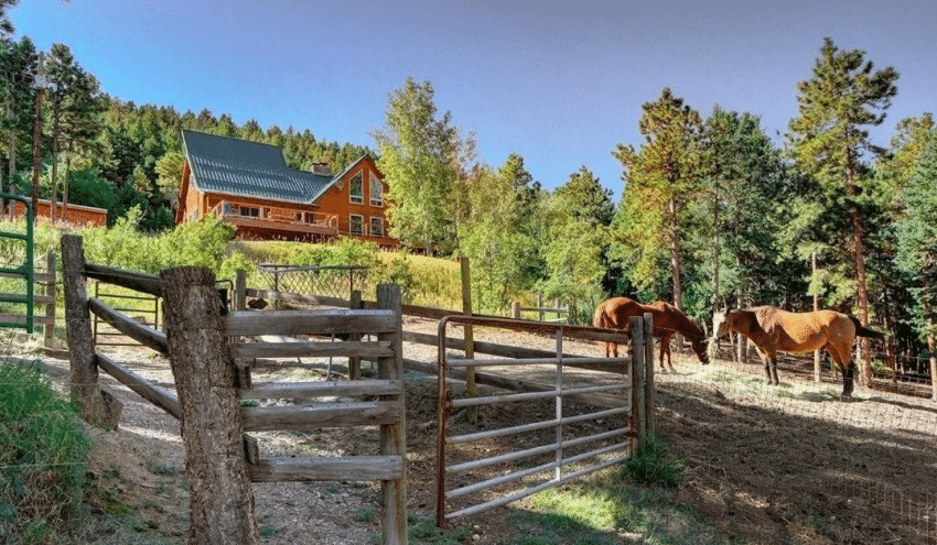 Colorado Hobby Farm