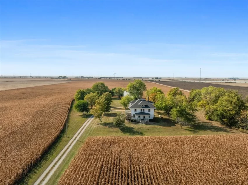 illinois foursquare